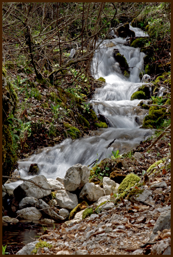 Riserva Naturale Zompo lo Schioppo